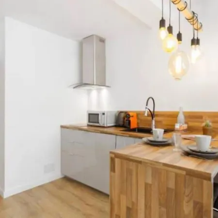 Appartement Grand Studio*victor Hugo*centre *